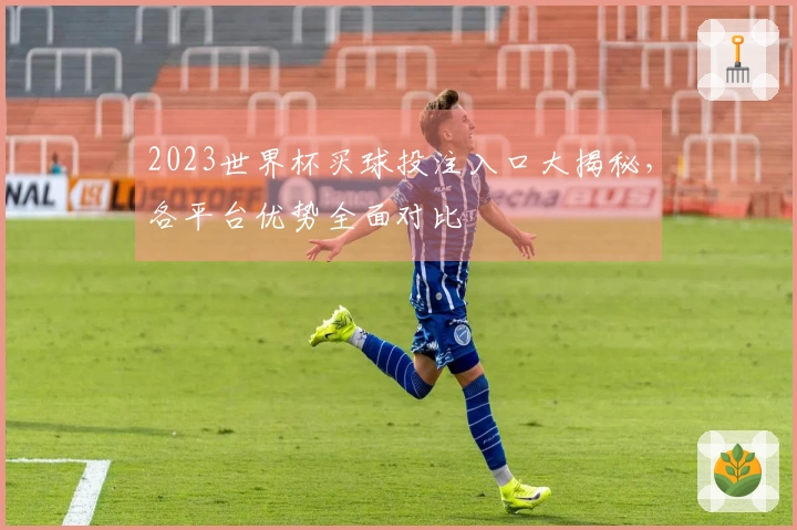 2023世界杯买球投注入口大揭秘，各平台优势全面对比