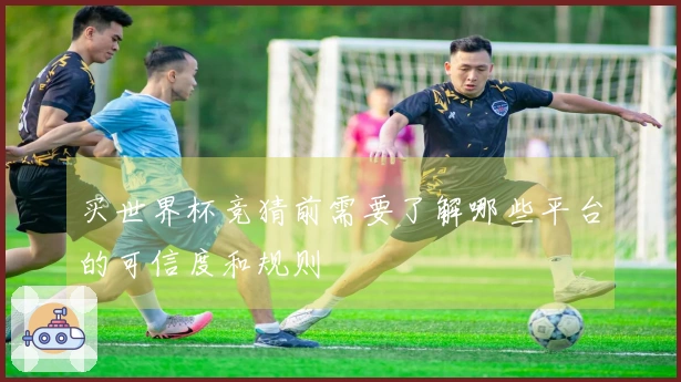 买世界杯竞猜前需要了解哪些平台的可信度和规则