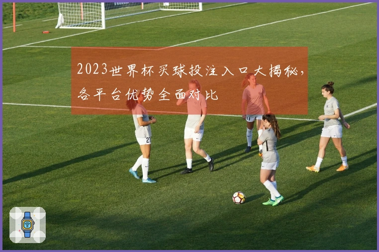 2023世界杯买球投注入口大揭秘，各平台优势全面对比
