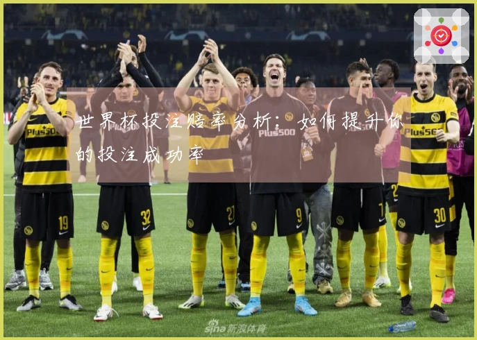 世界杯投注赔率分析：如何提升你的投注成功率