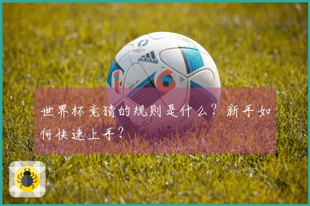 世界杯竞猜的规则是什么？新手如何快速上手？