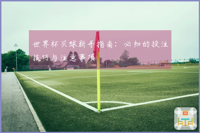 世界杯买球新手指南：必知的投注技巧与注意事项