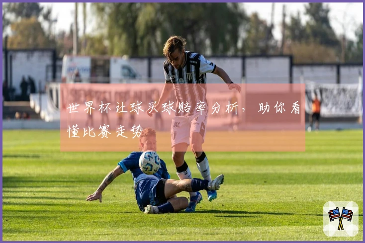 世界杯让球买球赔率分析，助你看懂比赛走势