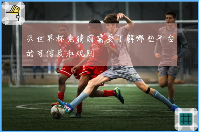 买世界杯竞猜前需要了解哪些平台的可信度和规则