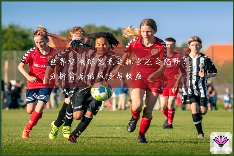 世界杯滚球究竟是机会还是陷阱？分析背后的风险与收益