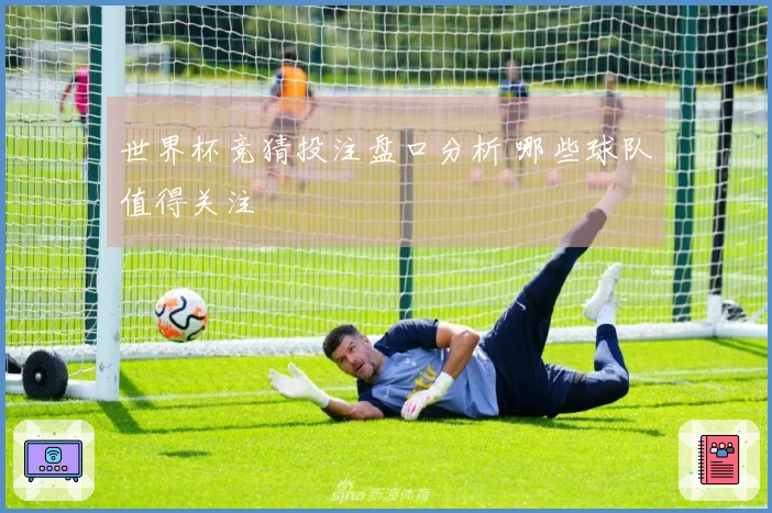 世界杯竞猜投注盘口分析 哪些球队值得关注