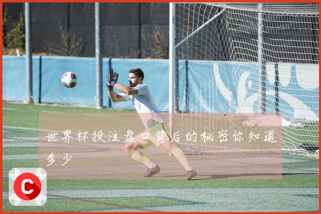 世界杯投注盘口背后的秘密你知道多少