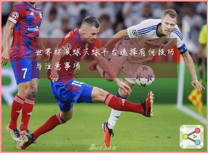 世界杯滚球买球平台选择有何技巧与注意事项