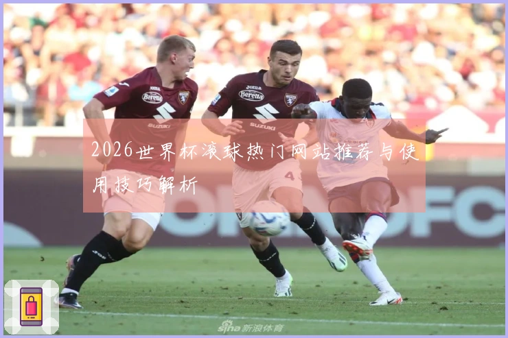 2026世界杯滚球热门网站推荐与使用技巧解析