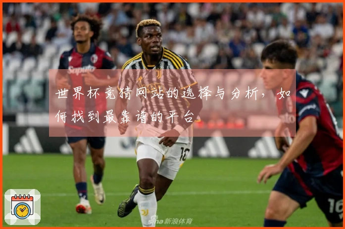 世界杯竞猜网站的选择与分析，如何找到最靠谱的平台