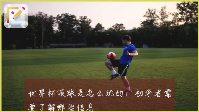 世界杯滚球是怎么玩的，初学者需要了解哪些信息