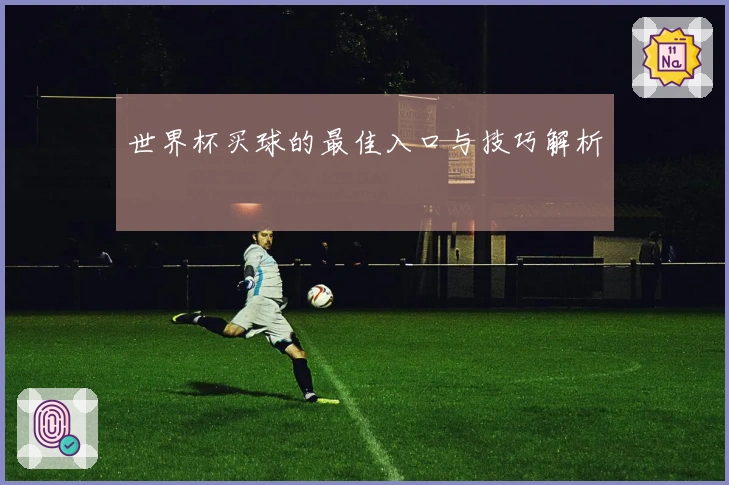 世界杯买球的最佳入口与技巧解析