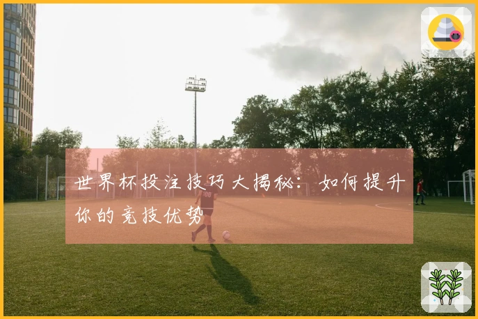 世界杯投注技巧大揭秘：如何提升你的竞技优势