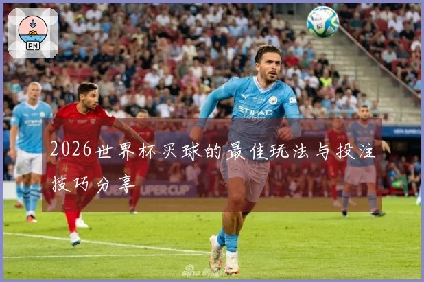 2026世界杯买球的最佳玩法与投注技巧分享