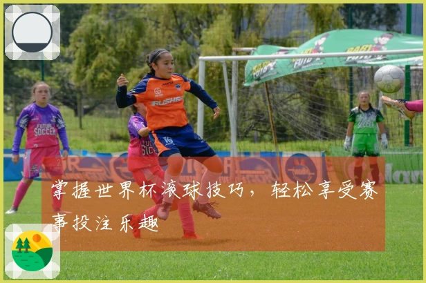 掌握世界杯滚球技巧，轻松享受赛事投注乐趣