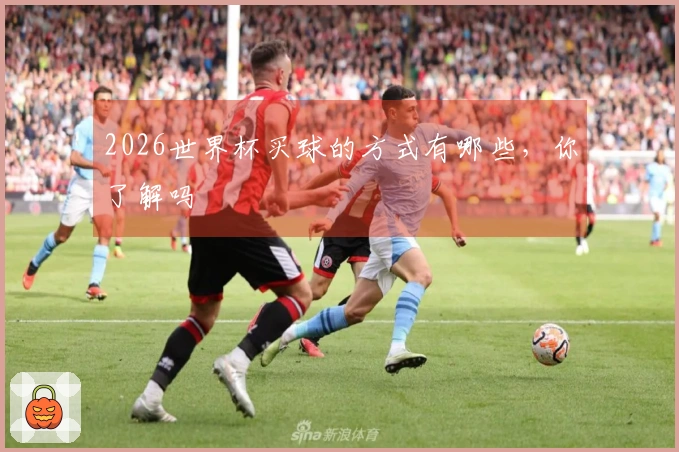 2026世界杯买球的方式有哪些，你了解吗